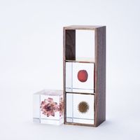 Sola cube/3個セット