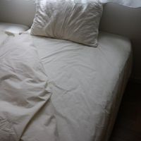 オーガニックコットン防ダニボックス敷シーツ シングル