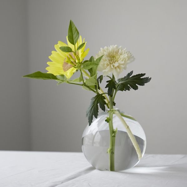 みずのうつわ O Lサイズ