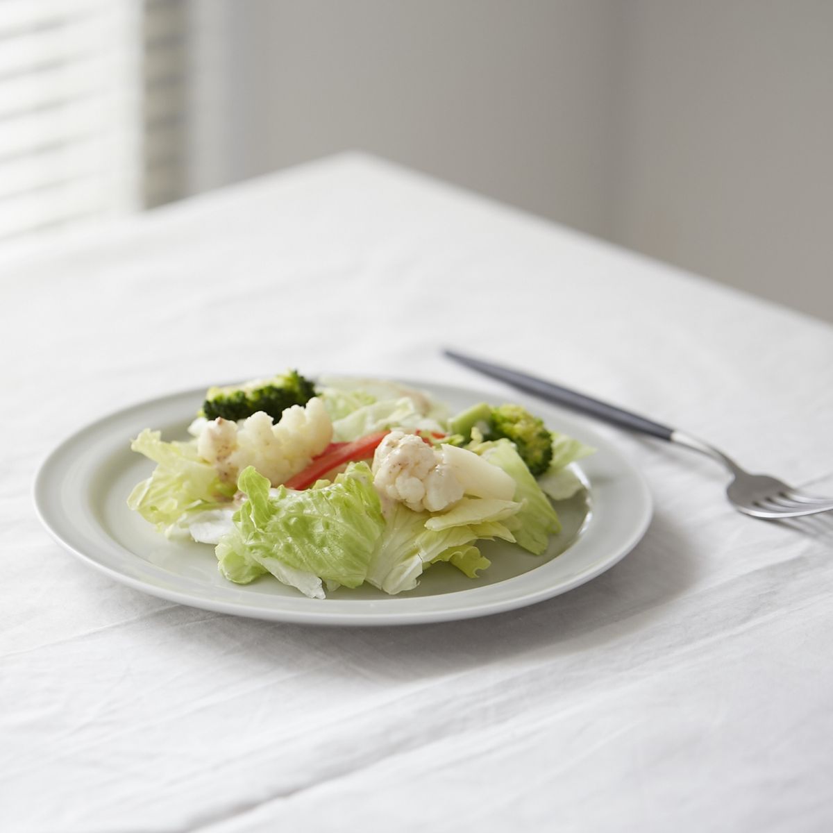 Luft/典型プレート 21cm