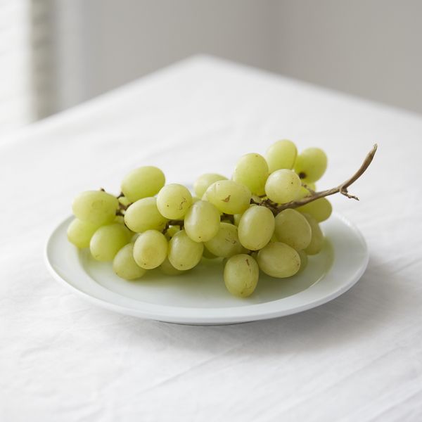 Luft/典型プレート 18cm