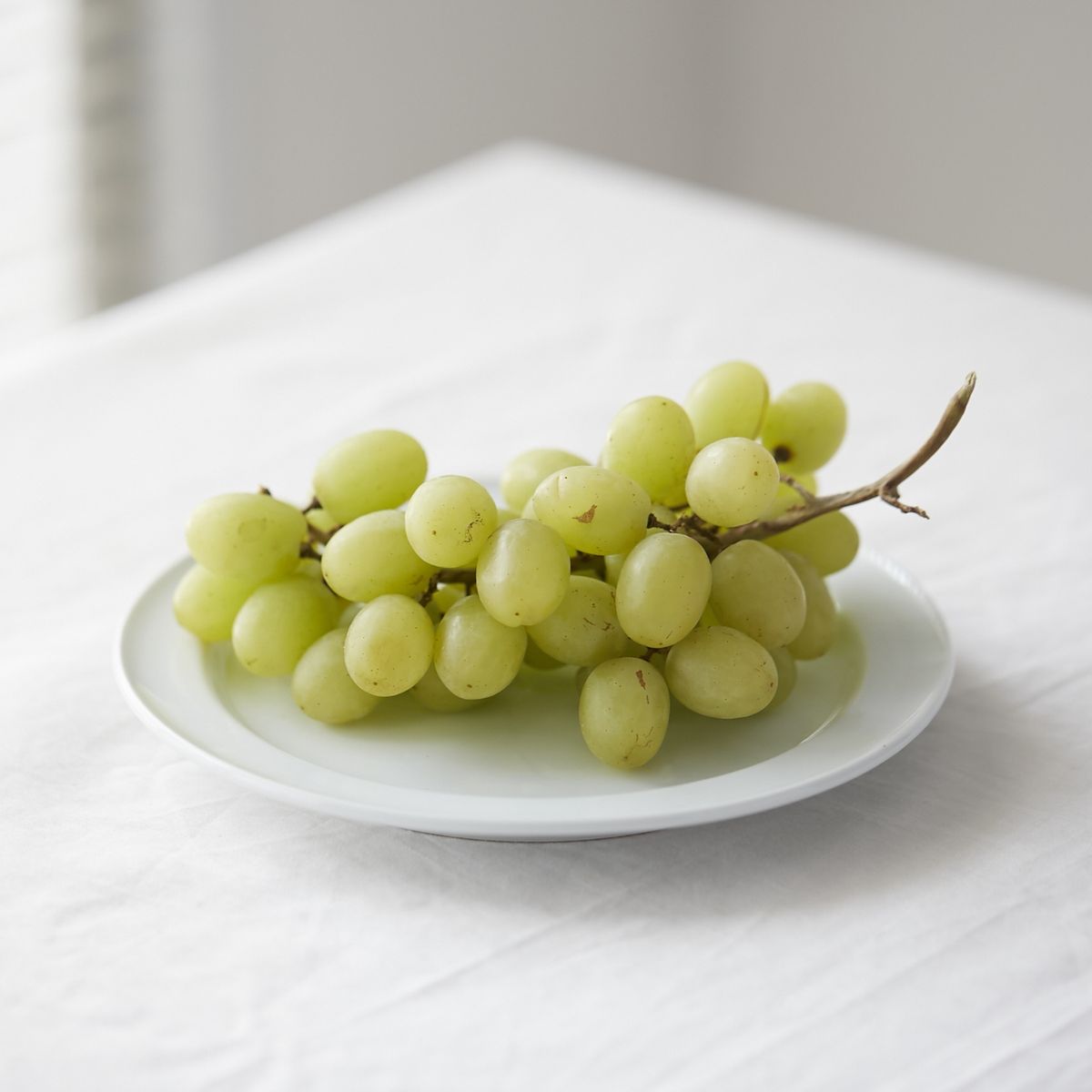 Luft/典型プレート 18cm