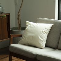 ノルディックスリープ/へたりにくいクッション　50×50cm