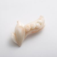 高知の珊瑚ブローチ大　すずらんA