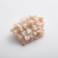 高知の珊瑚ブローチ大　紫陽花B