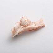 高知の珊瑚ブローチ小　チューリップB