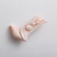 高知の珊瑚ブローチ小　すずらんB