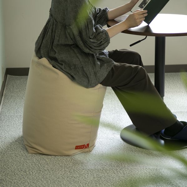 tetra CUBRICK 8号帆布 ビーズクッション -座る高さを変えられる