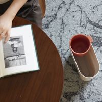 ideaco/分別ゴミ箱 niko