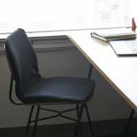 pinto air（renewal）