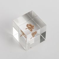 Sola cube/ライスフラワー