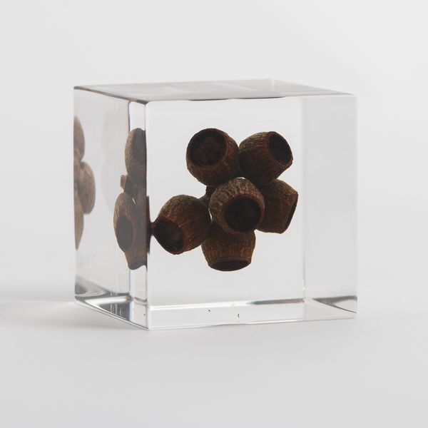 Sola cube（ソラ キューブ） - 通販カタログ - スタイルストア