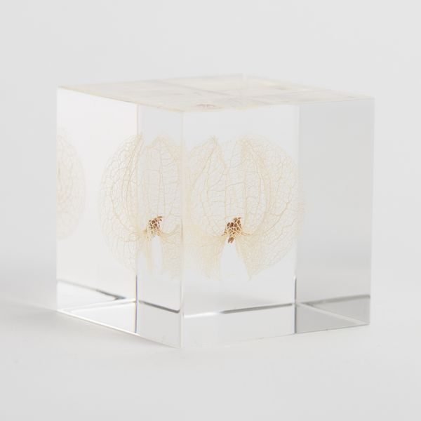 Sola cube（ソラ キューブ） - 通販カタログ - スタイルストア