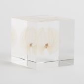 Sola cube/クロホオズキ