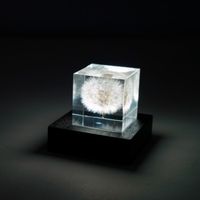 twodo/Light Base 角 鉄媒染