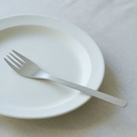 equbo フォーク（大）