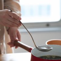 Three Snow 新越ワークス/きちんとお料理お玉