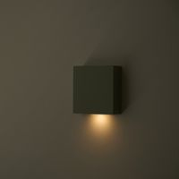 twodo/CALM color 2024