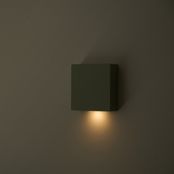 twodo/CALM color 2024