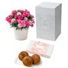 【5/5-10着（着日指定不可）】カーネーション＆スイーツ