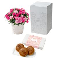 【5/5-10着（着日指定不可）】カーネーション＆スイーツ