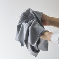 BIRDY.TEX/キッチンタオルM