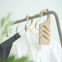 TOSARYU/くすのき防虫フック 2個組