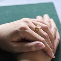PLAFU/Lattice Passage ring with Herkimer Diamond