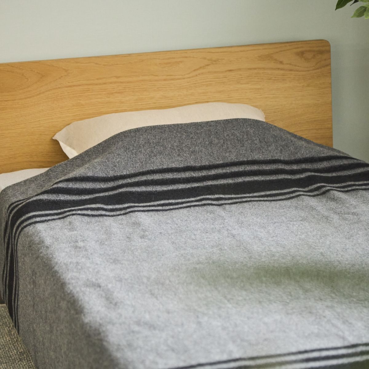 CO-ON/ボーダーゲート ウール毛布 シングル