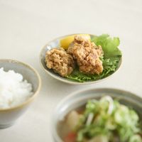 きほんのうつわ/いつもの取り皿