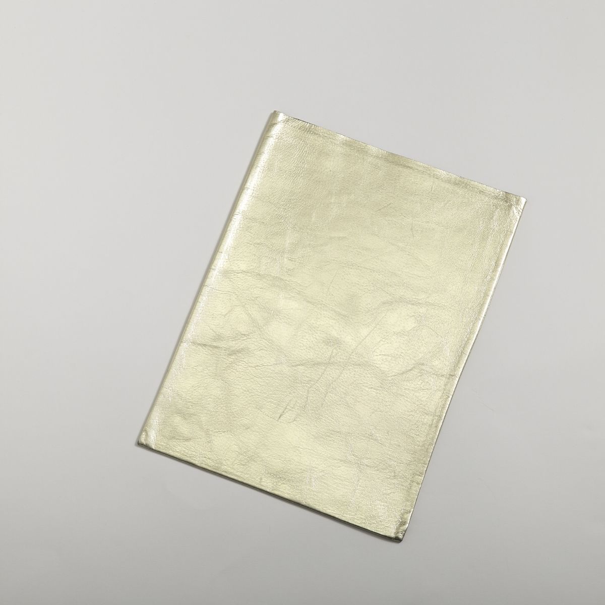 墨田革漉工業/典型 革袋 グロッシー 小 11インチ用