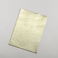 墨田革漉工業/典型 革袋 グロッシー 中 13インチ用