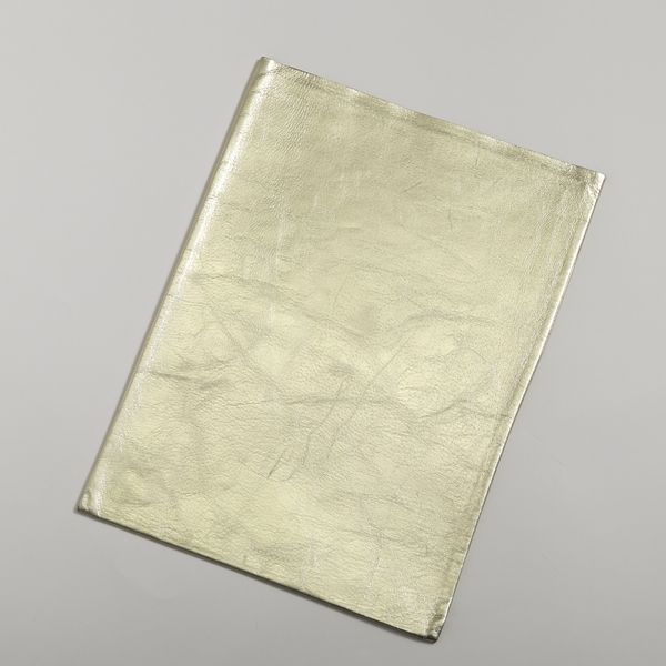 墨田革漉工業/典型 革袋 グロッシー 大 15インチ用