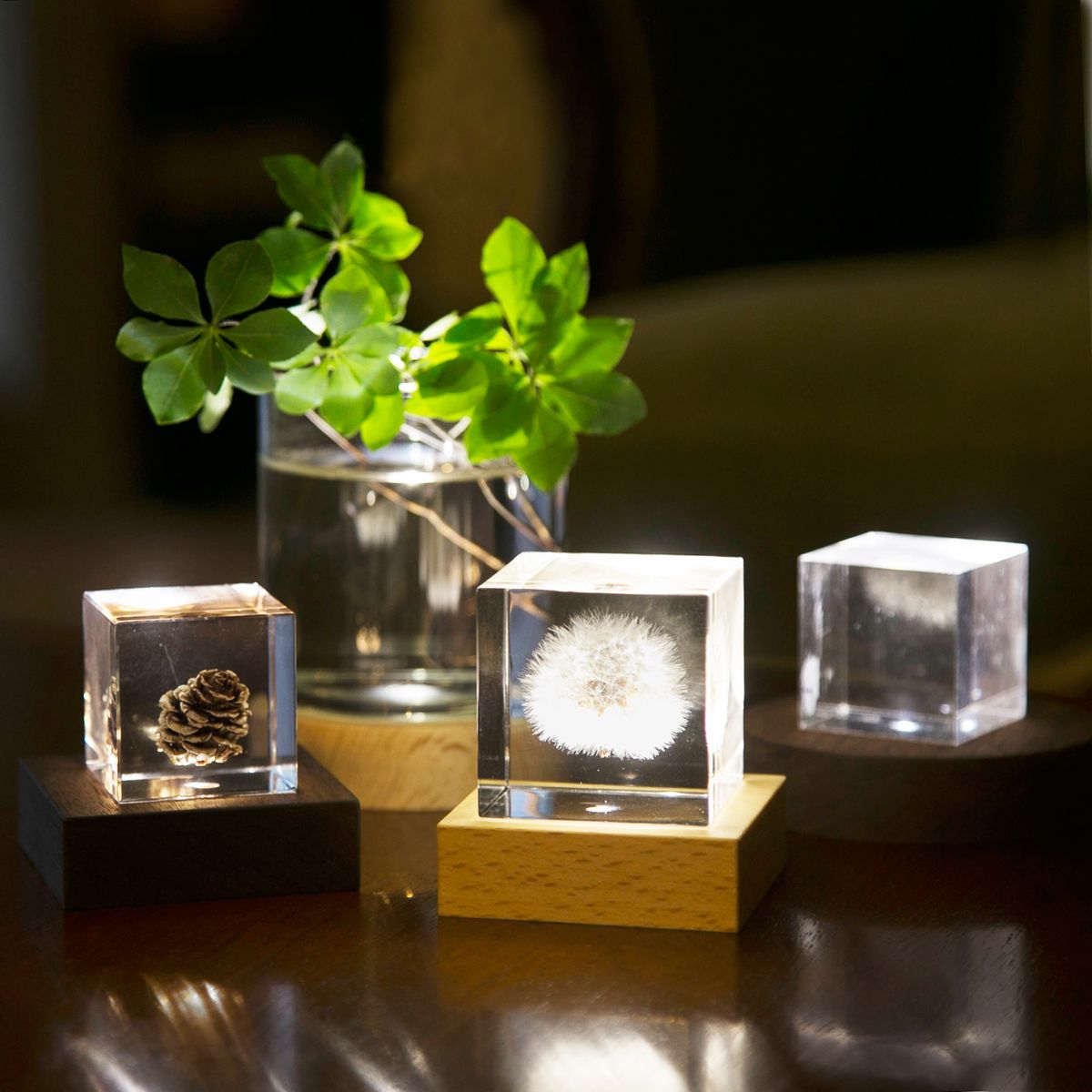 twodo/Light Base 角 5000K