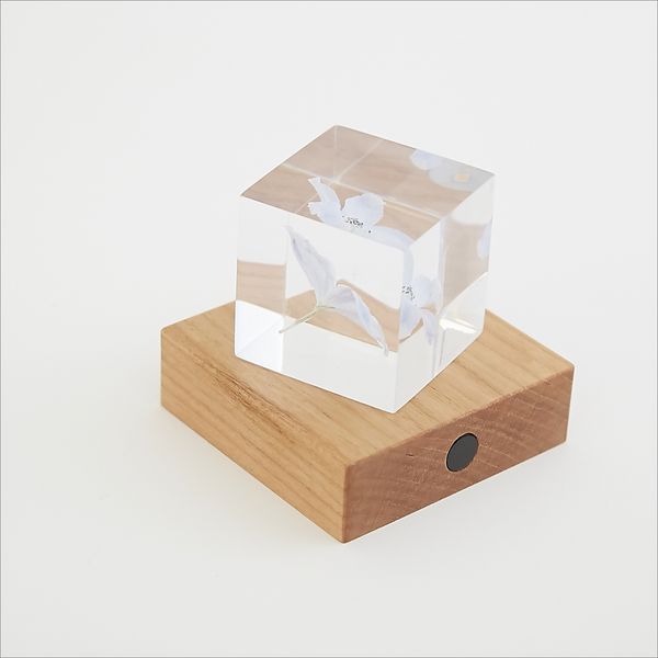 twodo/Light Base 角 チェリー -【当店限定】自分だけの常夜灯が作れる