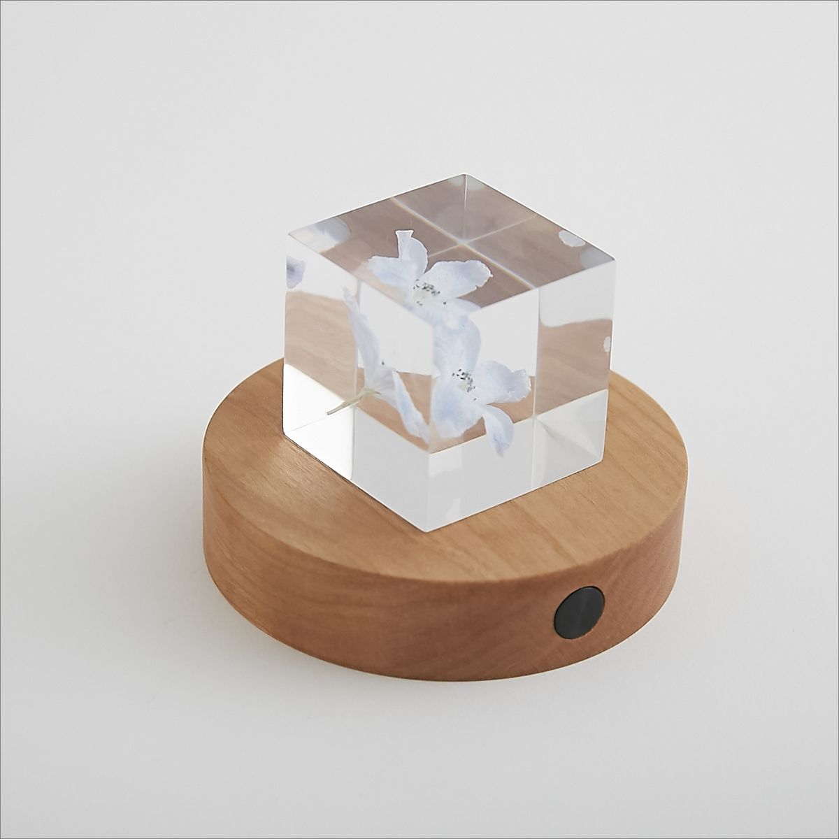 twodo/Light Base 丸 チェリー