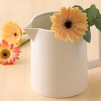 h+/水差し ストレート アイボリー