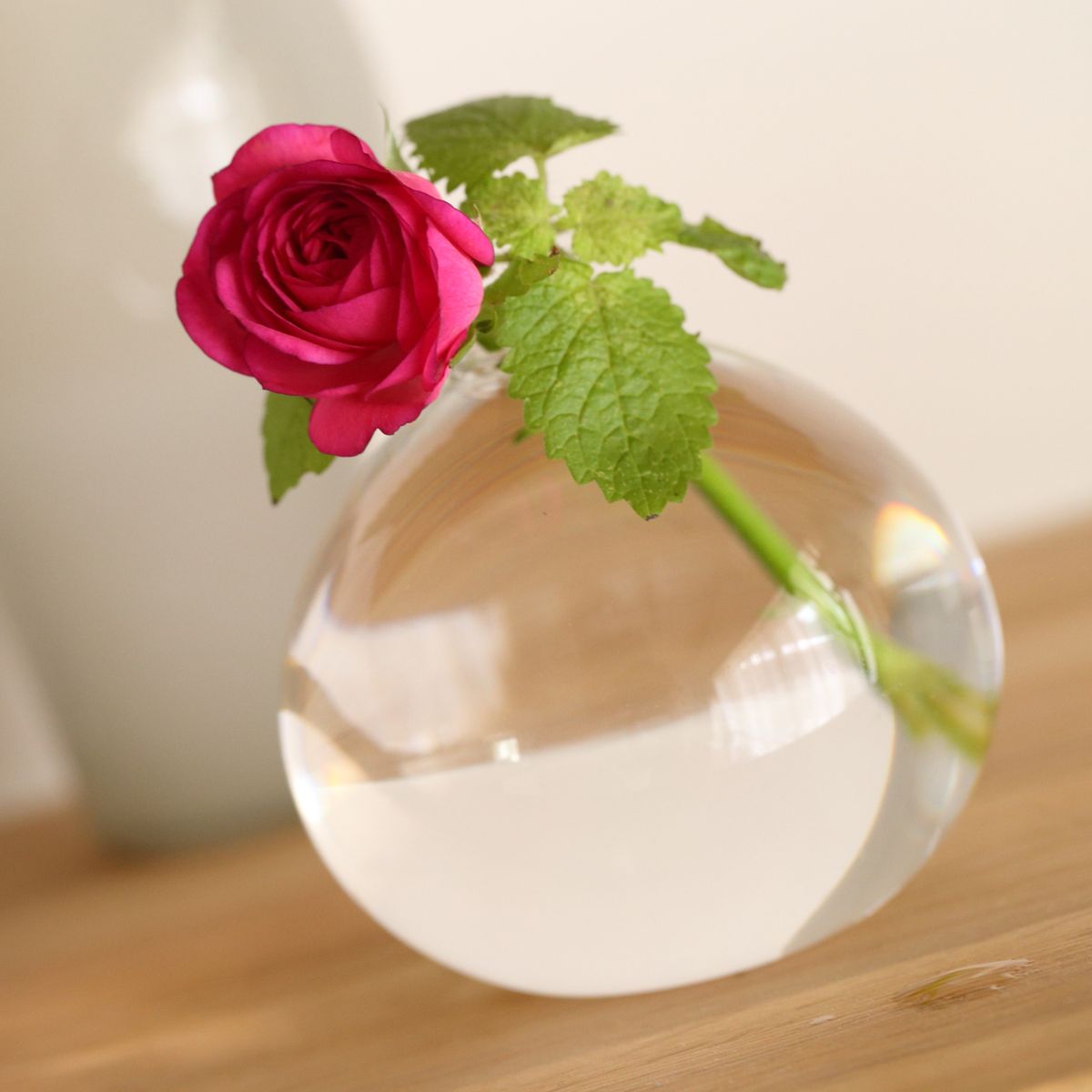 みずのうつわ O Mサイズ