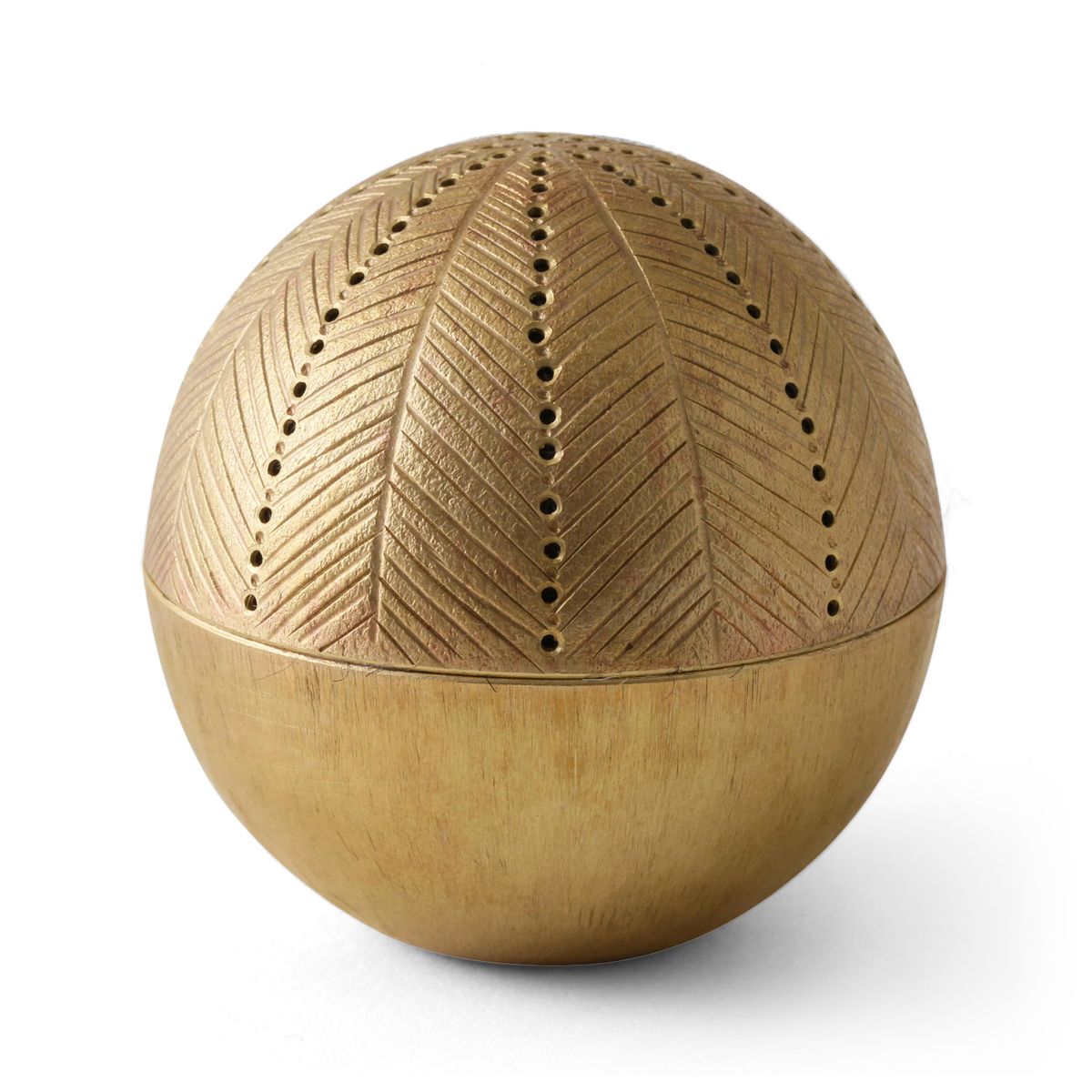 針刺し 種種 線線サボテン