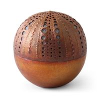 針刺し 種種 穴大ウニ