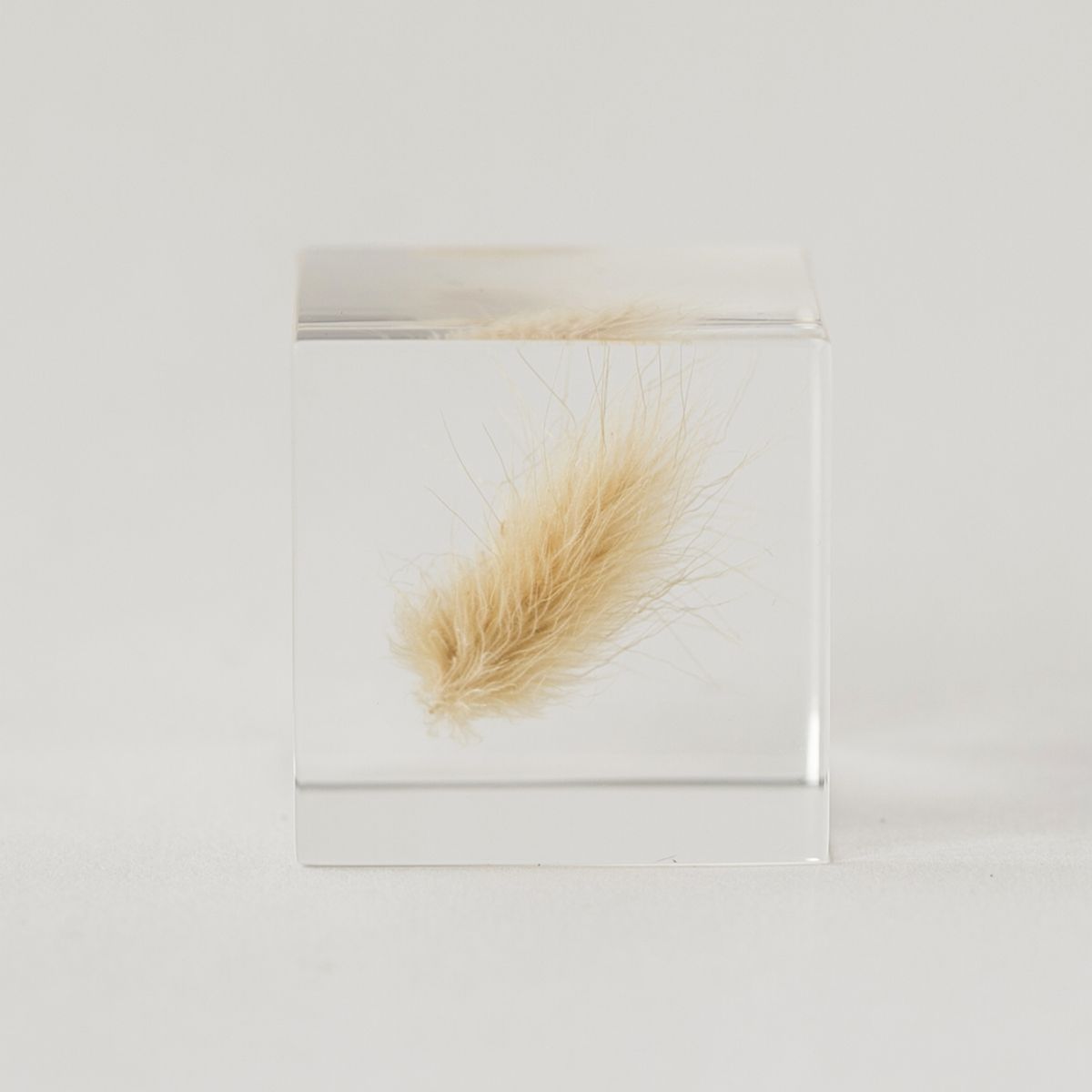 Sola cube/ウサギノオ