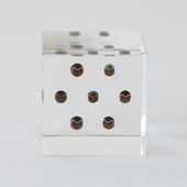 Sola cube/フウセンカズラ