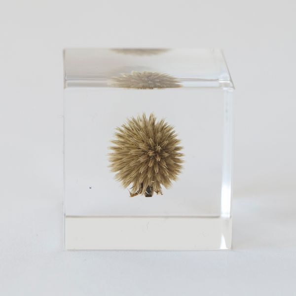 Sola cube（ソラ キューブ） - 通販カタログ - スタイルストア