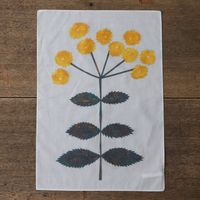 chihiro yasuhara/kogiku