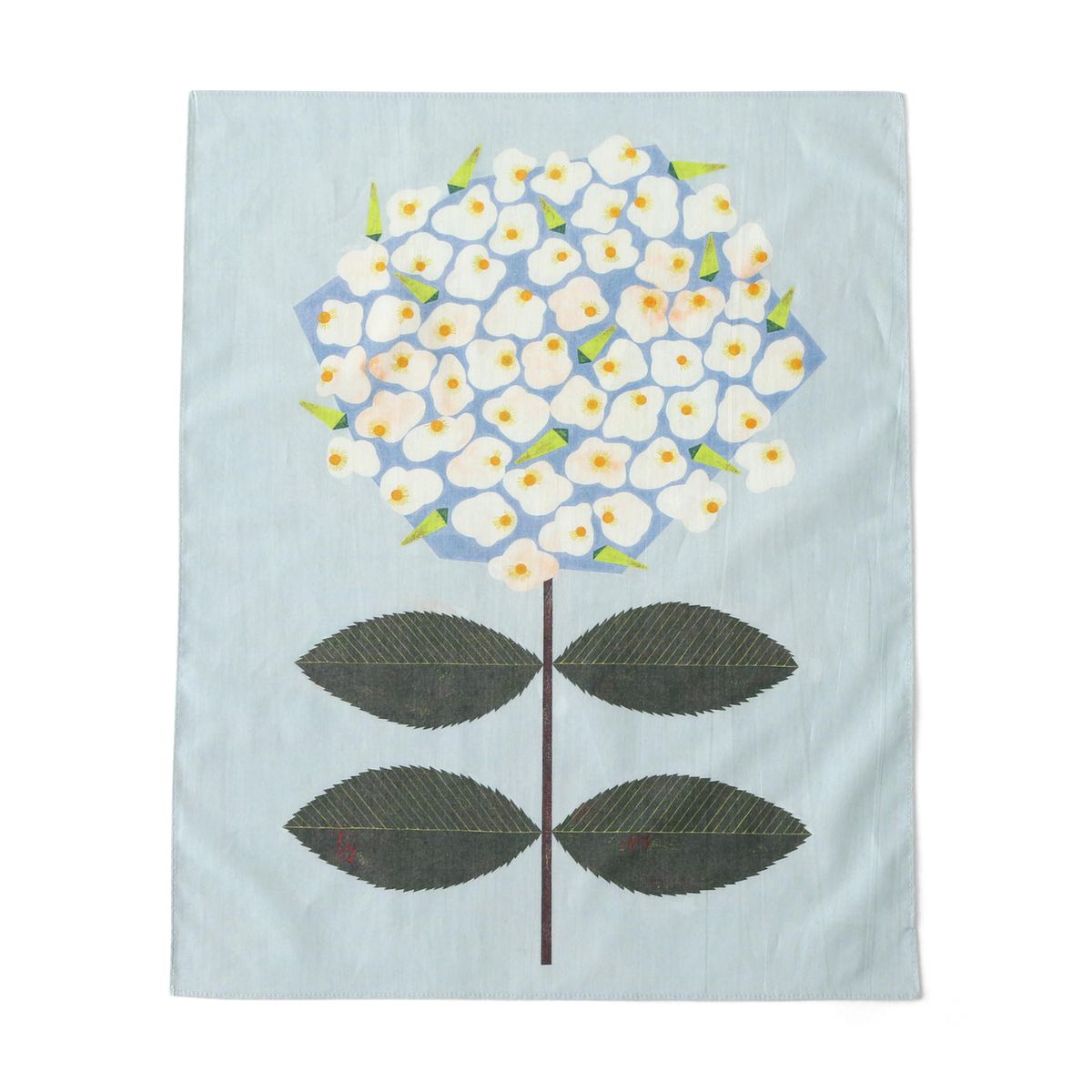 chihiro yasuhara/hydrangea