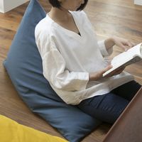 【ビーズプレゼント中】tetra 8号帆布 ビーズクッション レギュラーサイズ