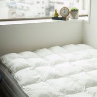 Danfill/フィベール オーバーレイ ダブル