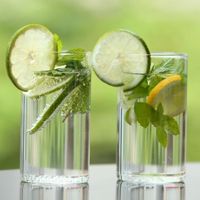 VISION GLASS/LH ペア