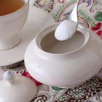 wakako ceramics/まほうのシュガーポット