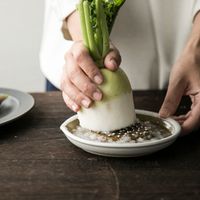 もとしげ/おろし器 中